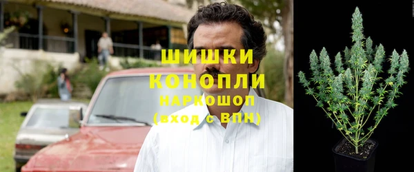 трава Мегион