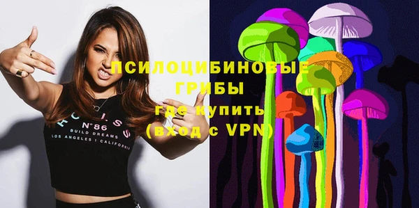 меф Медвежьегорск