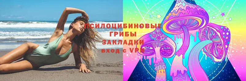 Псилоцибиновые грибы Psilocybine cubensis  сколько стоит  мега как зайти  Каменск-Уральский 