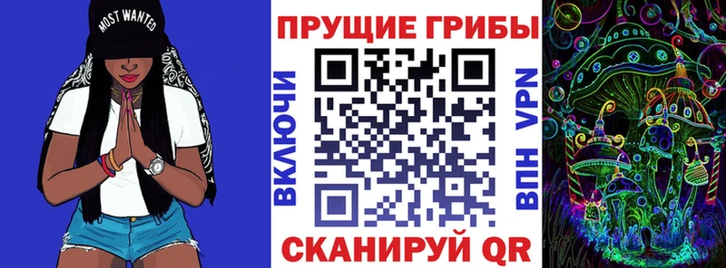 закладки  Каменск-Уральский  ссылка на мегу ссылки  Псилоцибиновые грибы GOLDEN TEACHER 