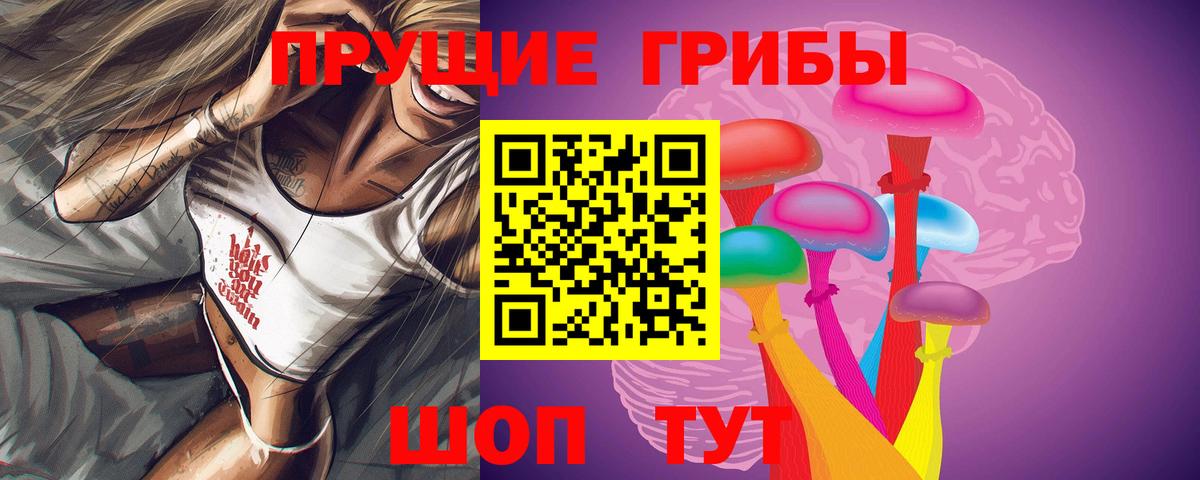где найти наркотики  Галлюциногенные грибы Psilocybine cubensis  Каменск-Уральский  Вход с VPN  Галлюциногенные грибы GOLDEN TEACHER 